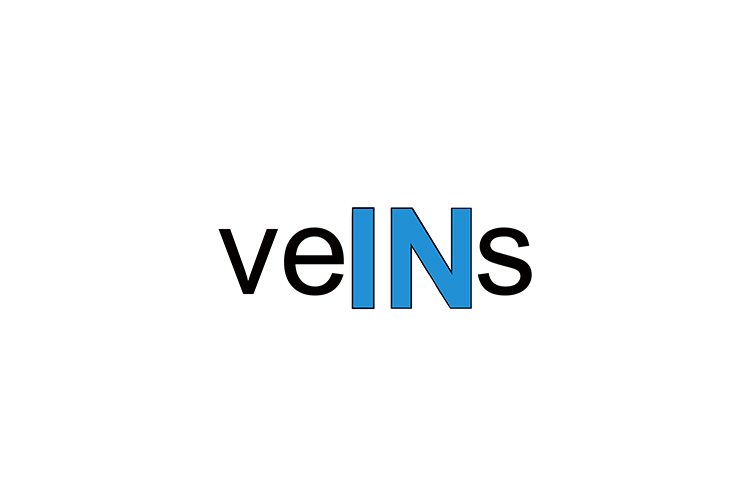 Graphic of the word Veins showing that they bring blood INto the heart